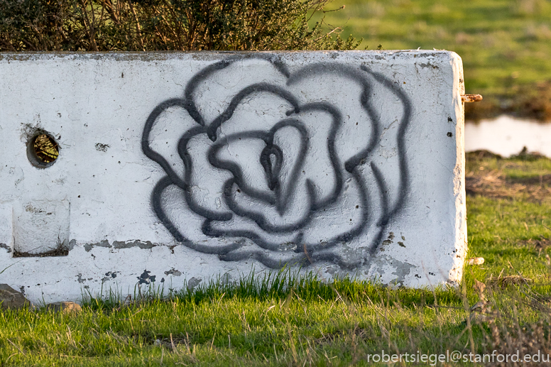 hayward regional shoreline